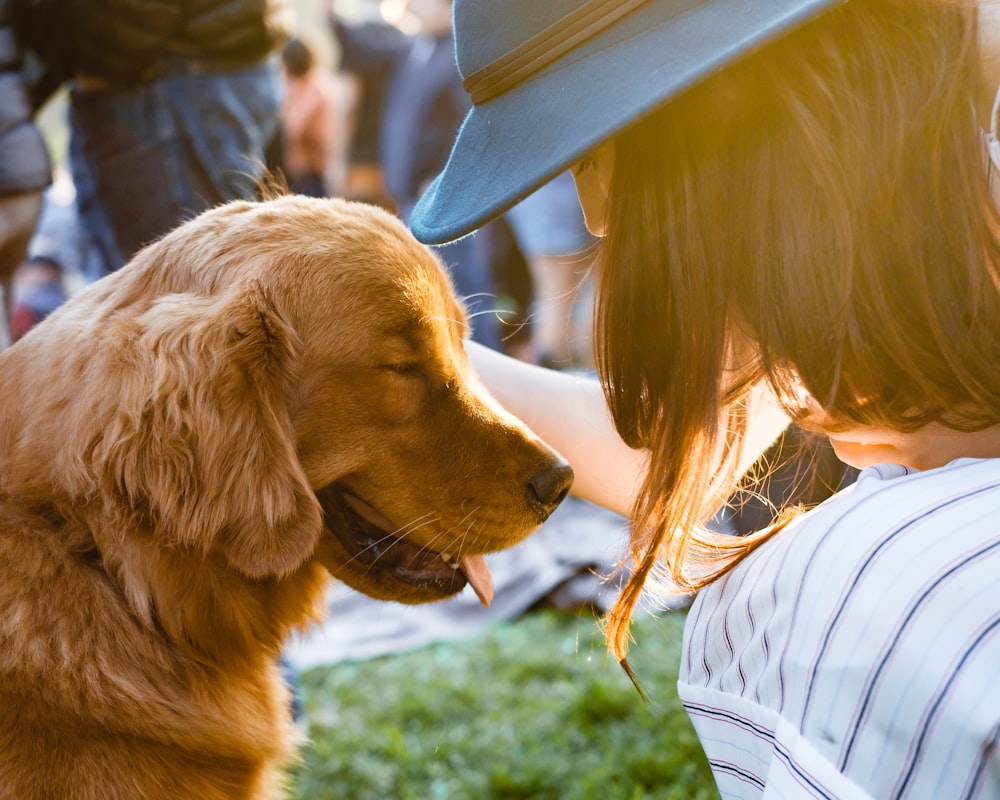 fotografia ravvicinata di donna che tiene in mano un golden retriever adulto