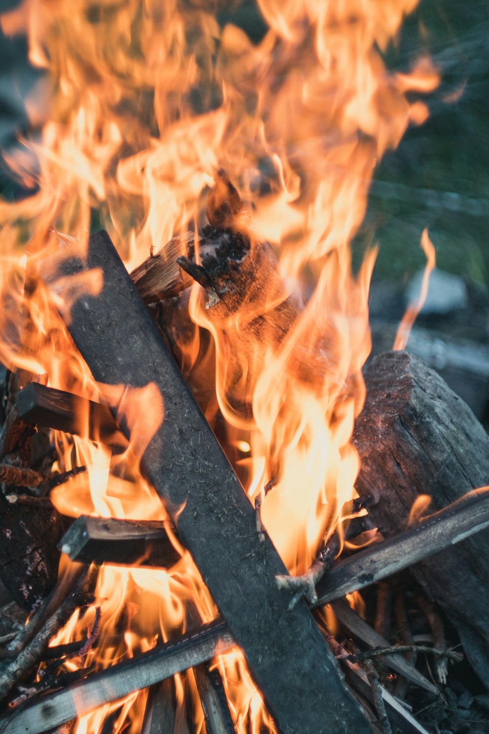 bonfire close up photo