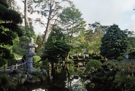 A peaceful Japanese garden with koi pond and stone lanterns surrounding the home.