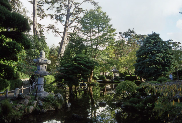 A serene Japanese garden with a stone lantern and a small koi pond surrounded by lush greenery.