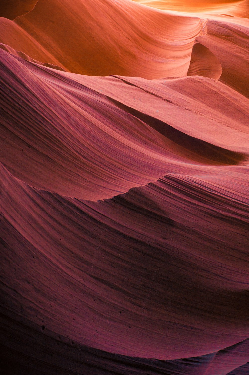 aerial photography of antelope