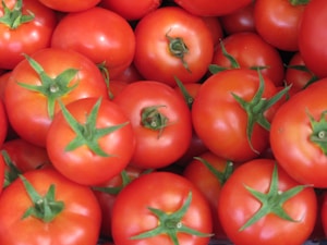 Organic Tomatoes