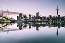 cityscape photo during daytime