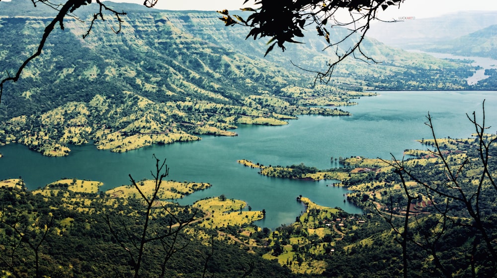 body of water surrounded by mountain and forest during daytime