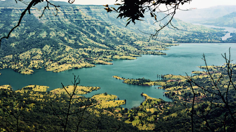 Most Aesthetic Cafes in Mahabaleshwar for Photos and Good Coffee