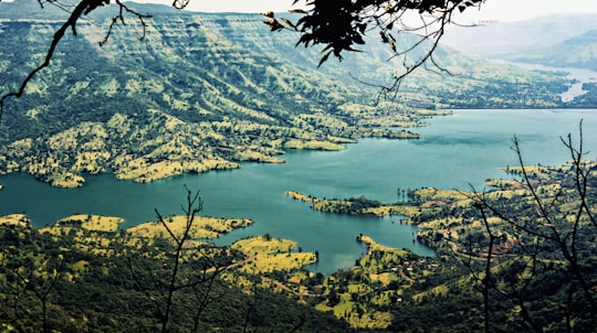 body of water surrounded by mountain and forest during daytime in Mahabaleshwar India