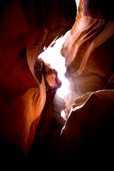 brown rocky mountain worm's eye view photography