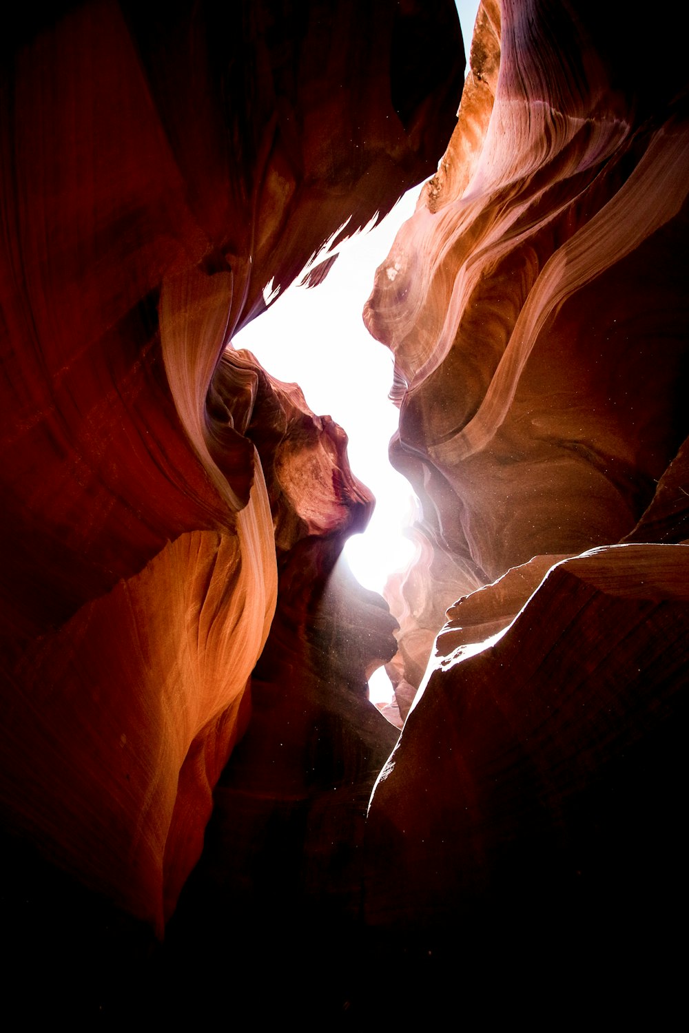 brown rocky mountain worm's eye view photography