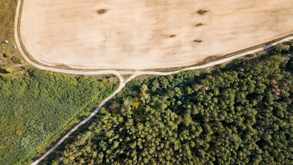 aerial photo of a green land