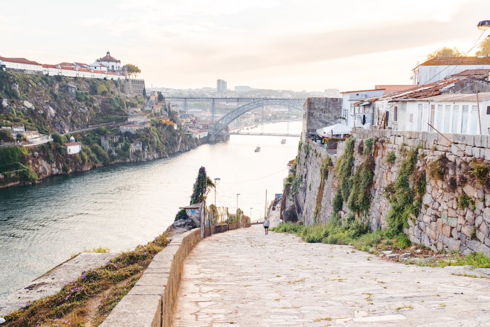 landscape photography of river and bridge