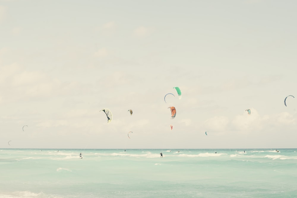 many people parachuting during daytime