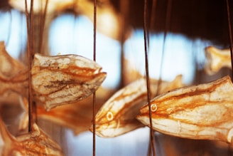Several traditionally dried fish are hanging, suspended by strings, displaying their textured and semi-translucent skin with a warm tone. The background is softly blurred, giving the image a depth and focus on the fish.