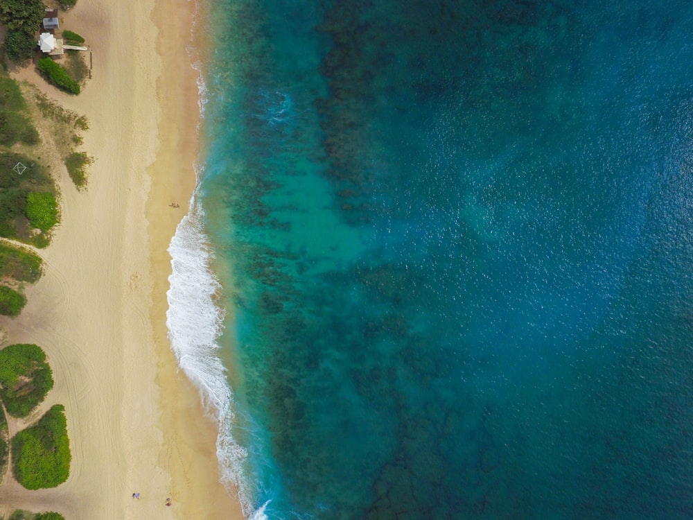 aerial photography of seashore