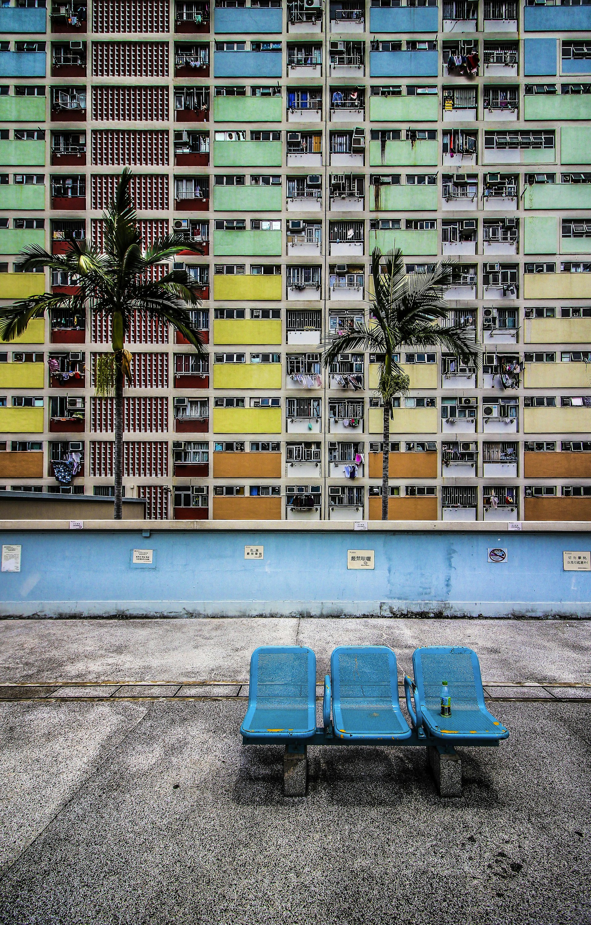 View of the residential building exterior with vibrant colors and palm trees nearby
