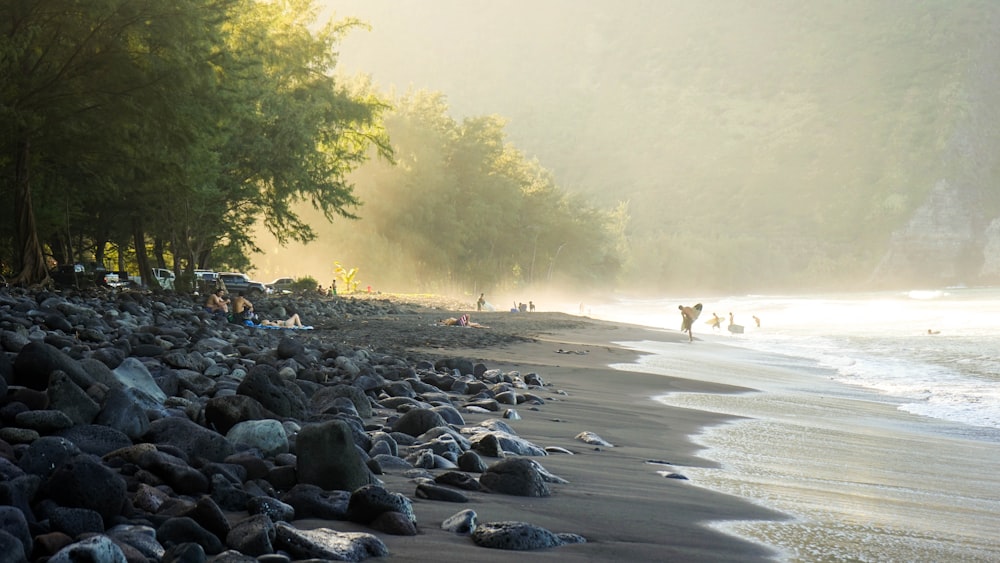 people gathered on seashore surrounded by trees