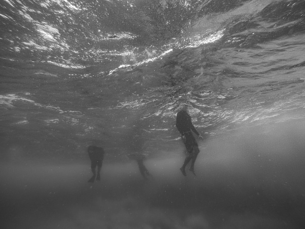 grayscale photo taken underwater of people swimming