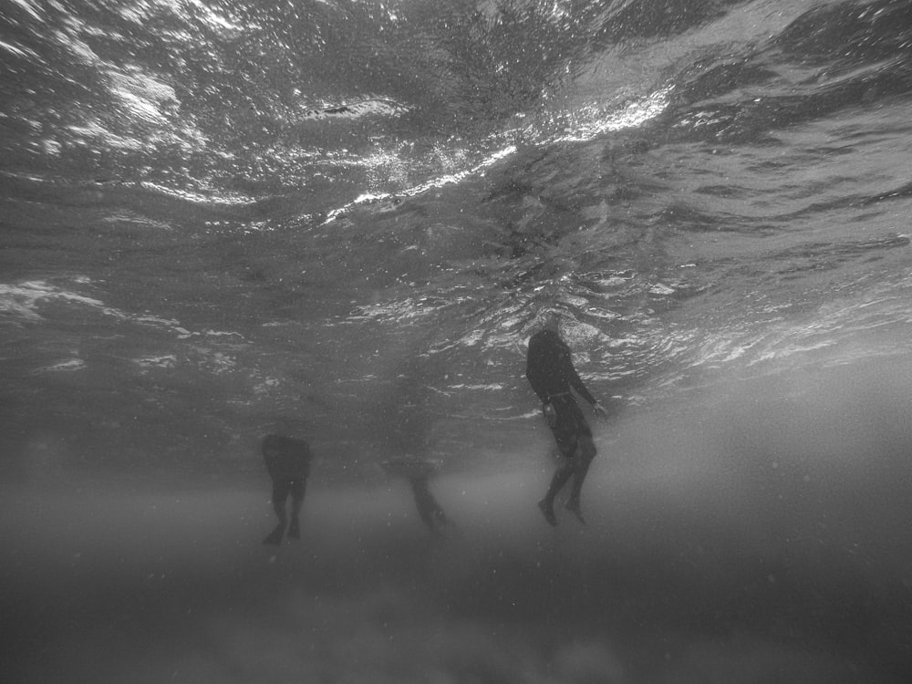 Foto en escala de grises tomada bajo el agua de personas nadando