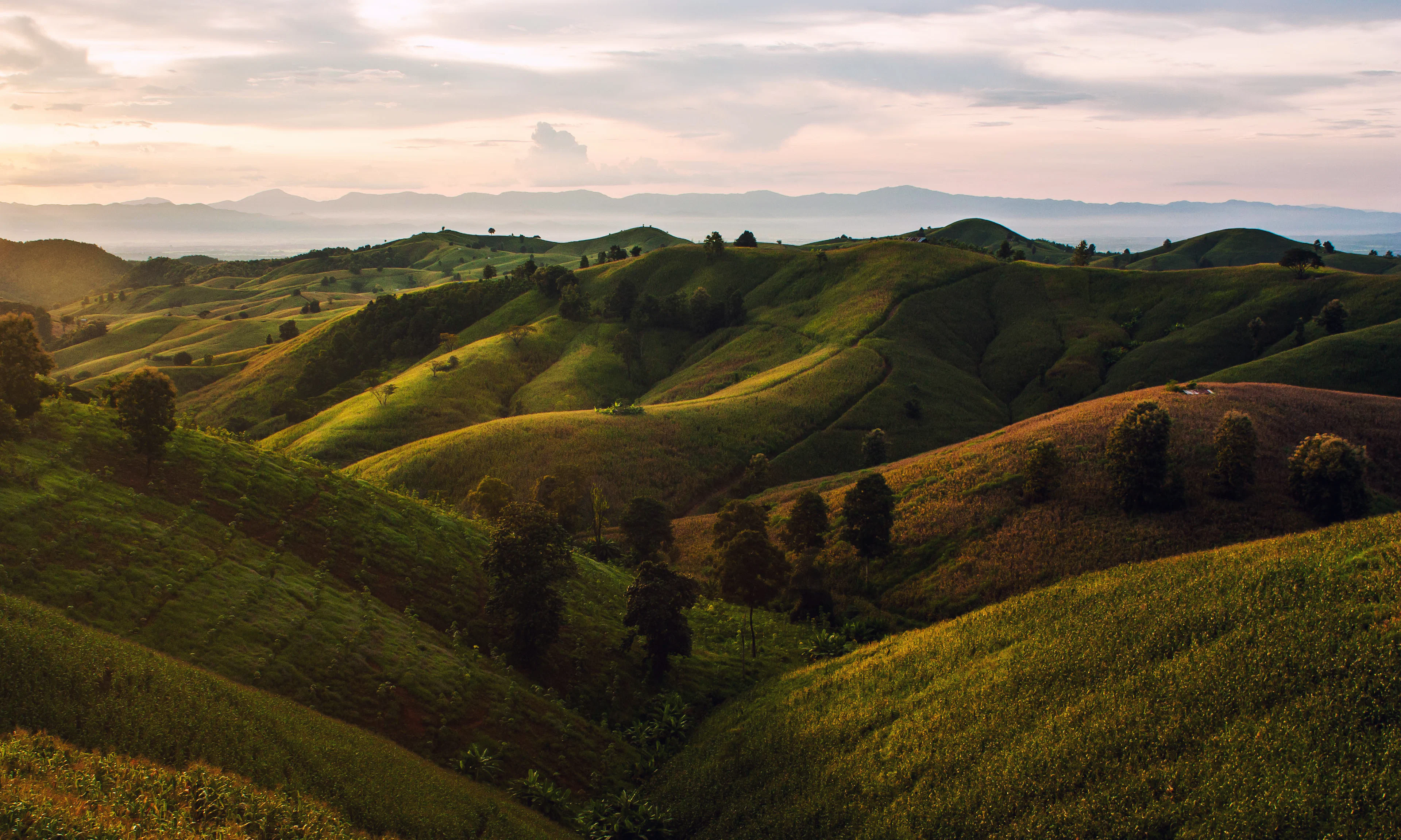 Aerial view of wooded hills and open land