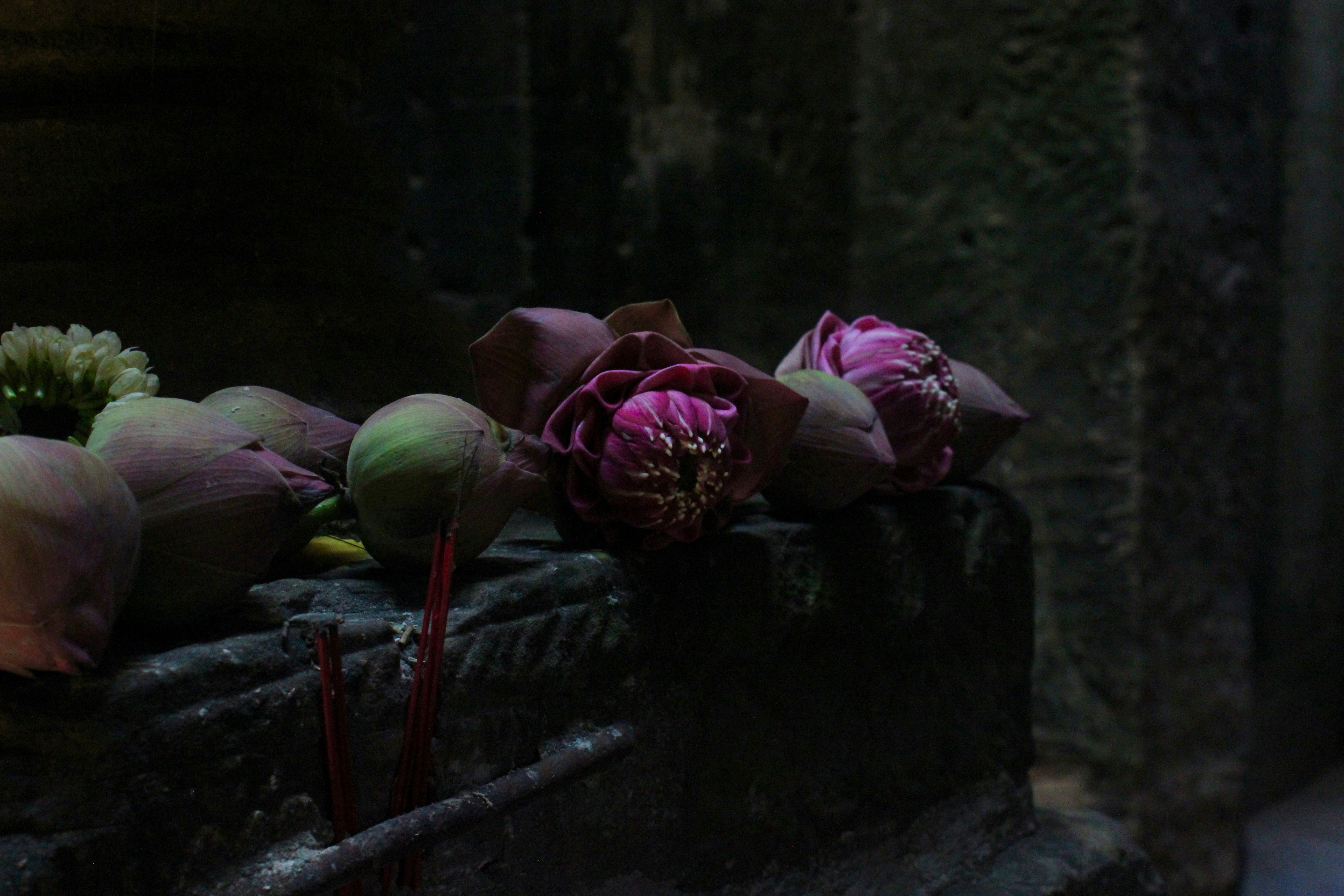 L'Atelier Fleuri