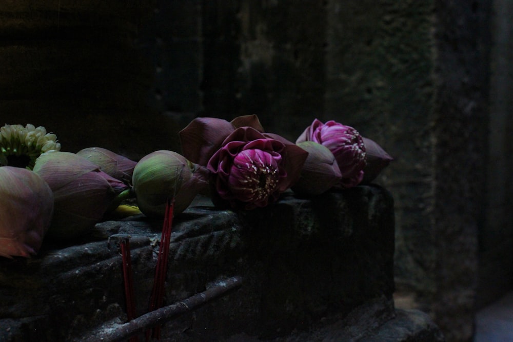 purple flowers on top of black steel surface