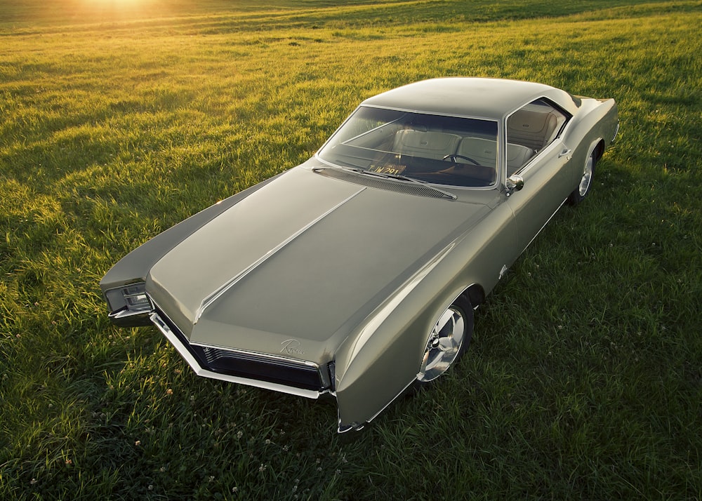 gray coupe on grass field