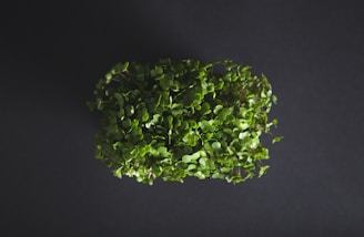 A lush cluster of small, vibrant green leaves forms a dense, oval-shaped arrangement against a dark, muted background. The leaves are delicate and tightly packed, suggesting they are young seedlings or microgreens.