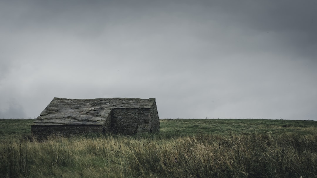 house in the middle of grass field