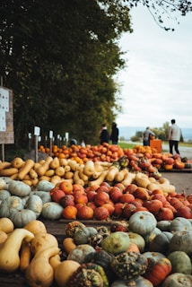 A variety of gourds and pumpkins are displayed on the ground in an outdoor setting, with a backdrop of trees and a group of people engaged in conversation. The produce is arranged in rows, showcasing different shapes and colors, set against a rural landscape.
