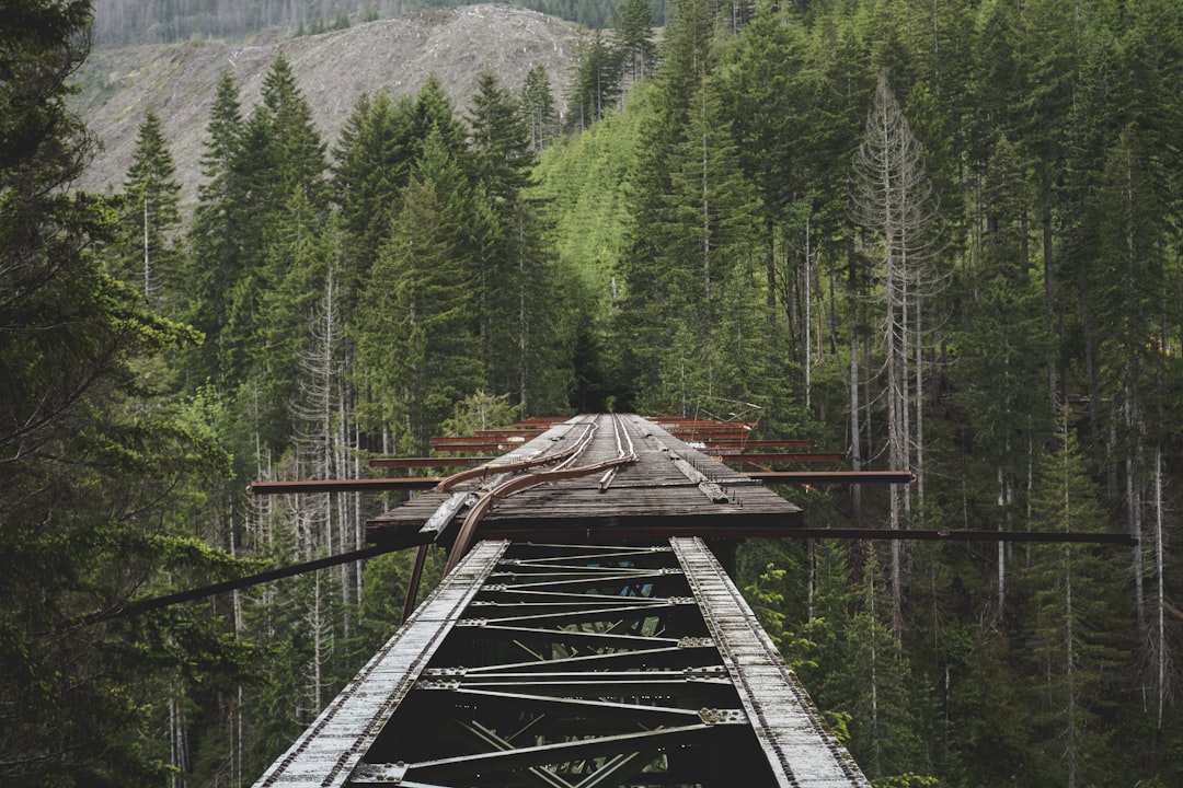 green leafed trees near mountain, vance creek bridge