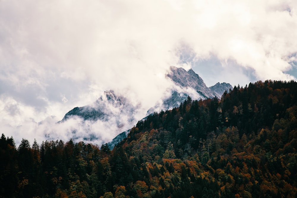 top view of mountain