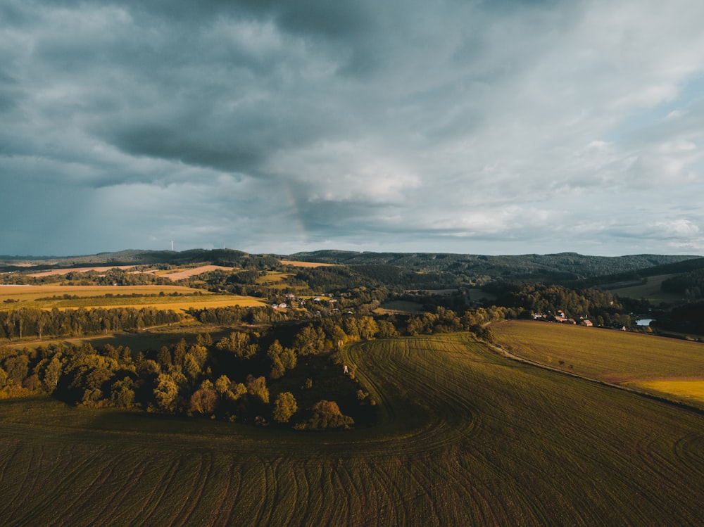 Grünes Grasfeld unter Kumuluswolken