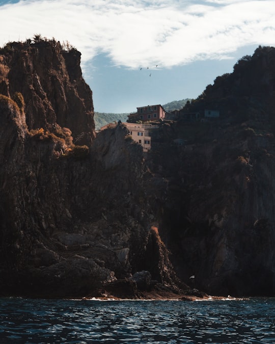 brown concrete building near the cliff during daytime in Cinque Terre Italy