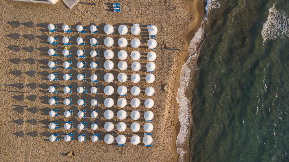 aerial photography of patio umbrellas on beach