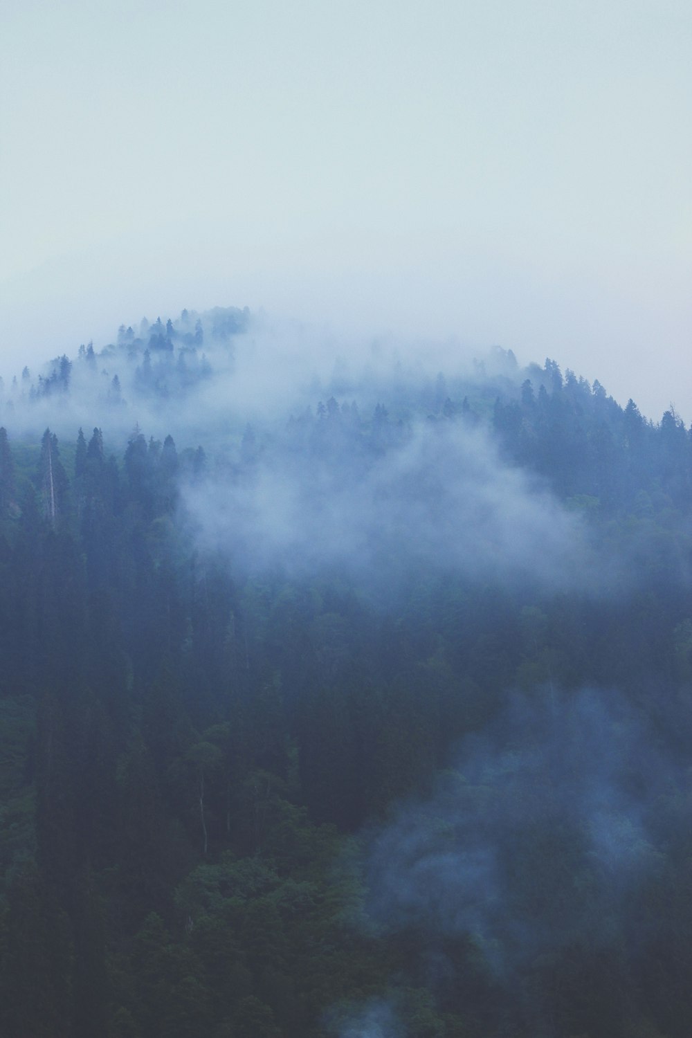 mountain and trees