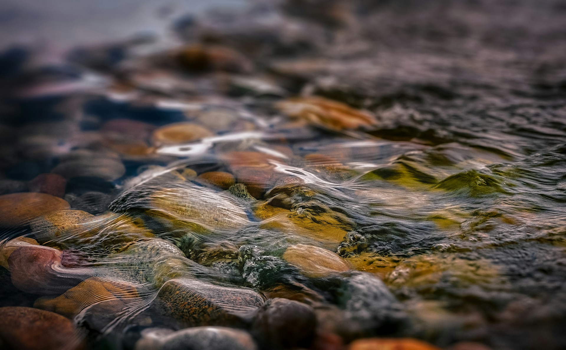 macro photography of water and stones