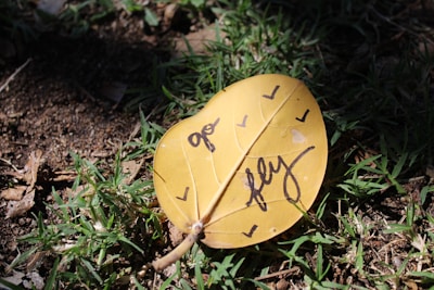 A yellow leaf lies on the ground with handwritten words 'go' and 'fly' accompanied by small heart and bird symbols. The leaf rests among green grass and brown soil, suggesting an outdoor environment.