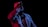 A performer wearing a light-colored jacket and a cap holds a microphone close to their mouth against a dark background. The scene is dimly lit, creating contrasting shades with red and blue lighting casting dramatic shadows.