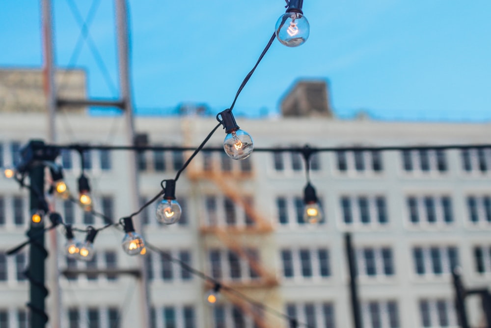 selective focus photography of bulb string lights