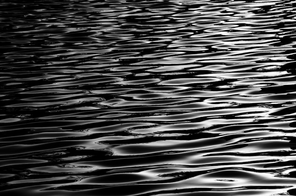 Photographie en niveaux de gris de l’eau ondulante