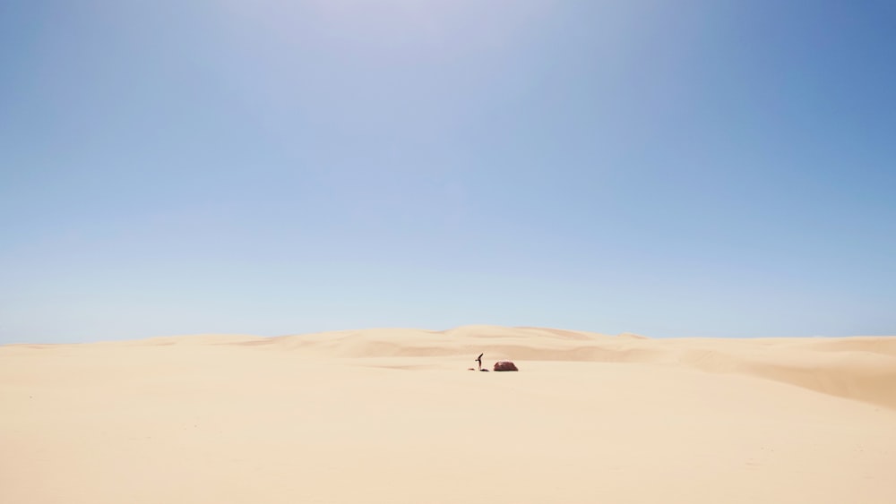 desierto bajo el cielo azul