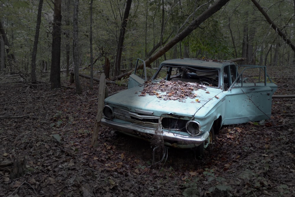 blue sedan in forest