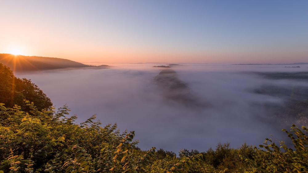 misty body of water during golden hour