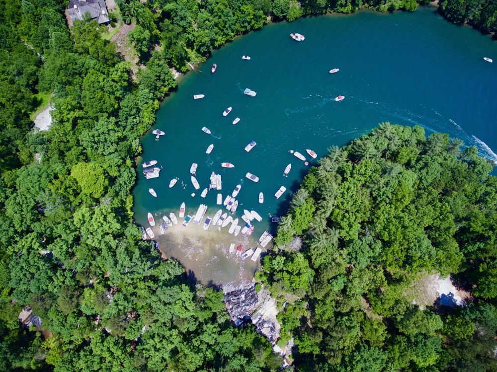 Fotografía aérea de barcos en el río con árboles