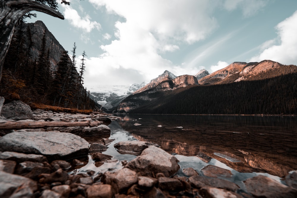 river surrounded by rock formation