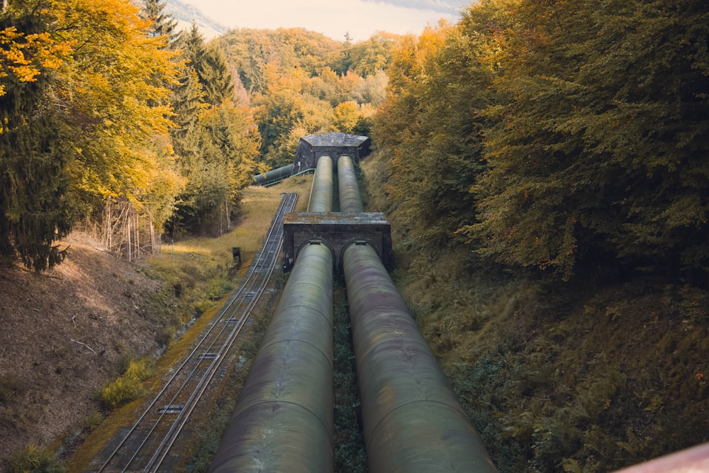 metal pipe between trees at daytime