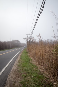 Fog rolling over an empty rural road, capturing the film’s eerie stillness.