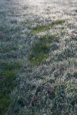 A close-up of lush, vibrant artificial grass with morning dew sparkling under soft sunlight.