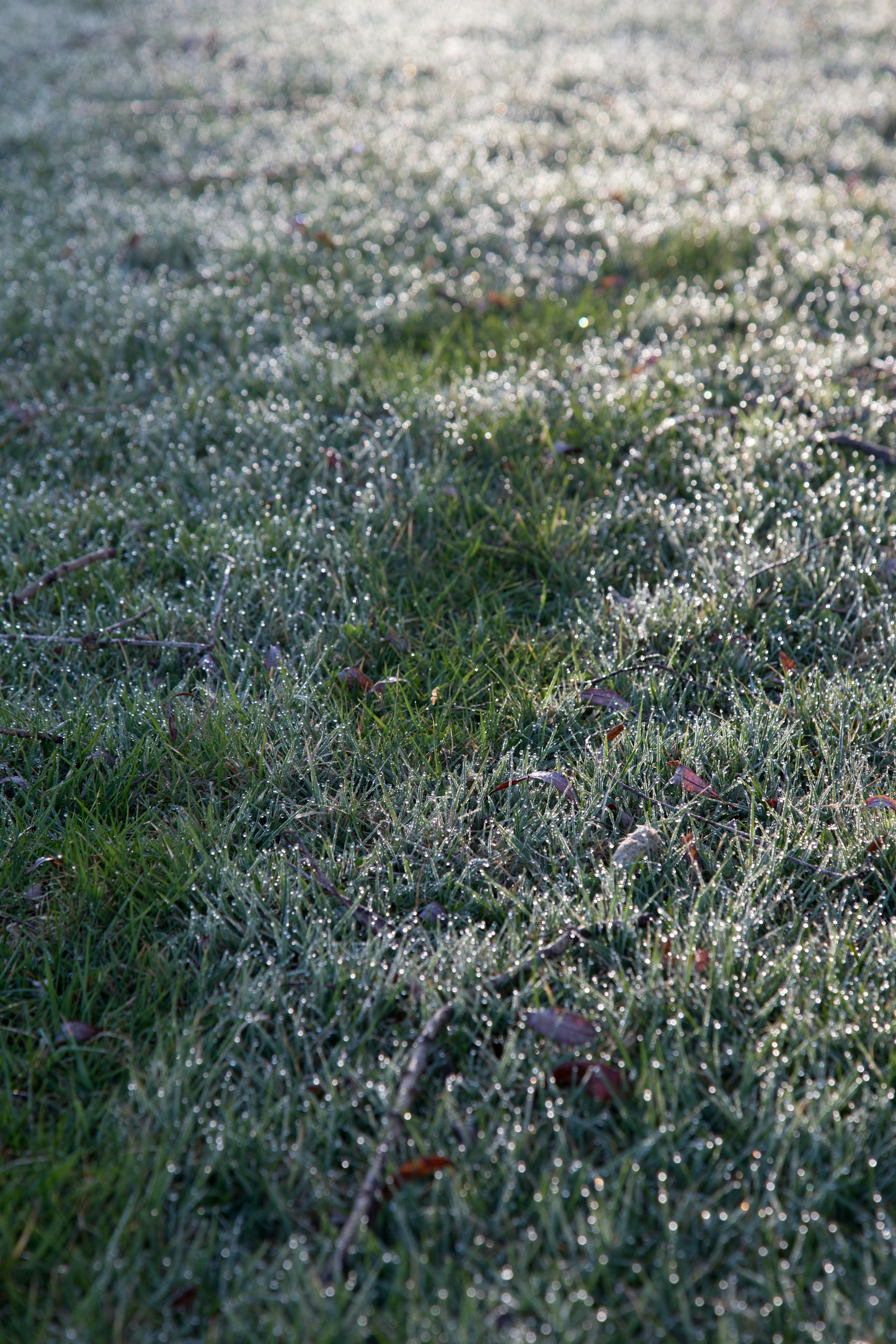 gray computer monitor