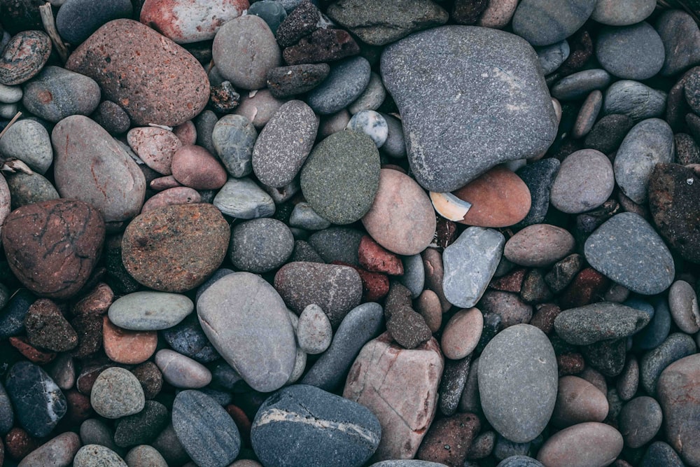 multicolored rock lot