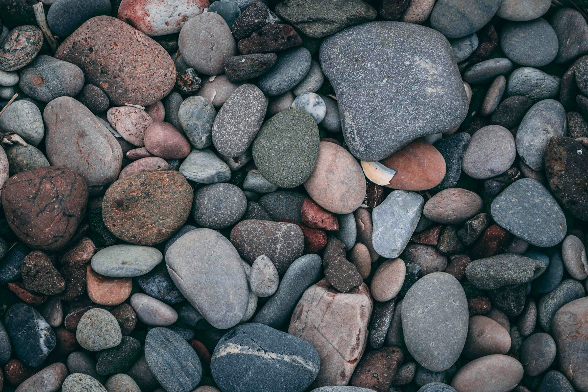 How to Organize Your Rock Collection